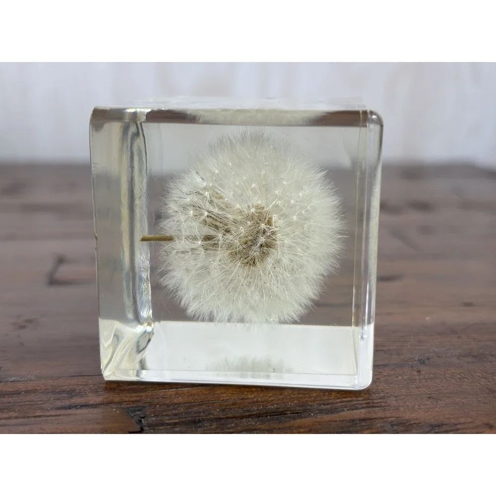 Real Dandelion Resin Paperweight 2